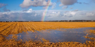 Foto: Illustrasjon/iStock